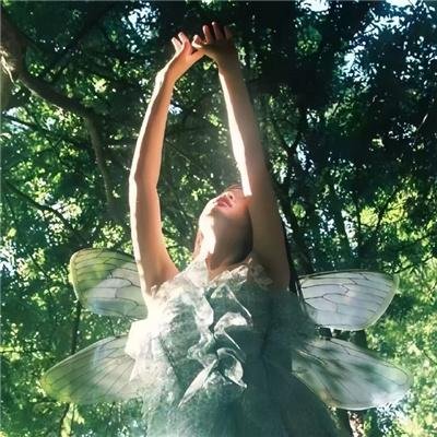 反叛的鲁路修：娜娜莉梦游仙境